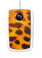 pic_leopard_big4_copia.gif